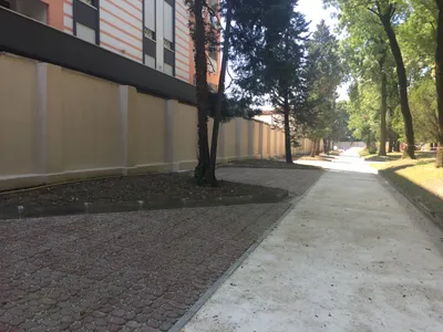 IOV Nuovi parcheggi - Miniatura 3